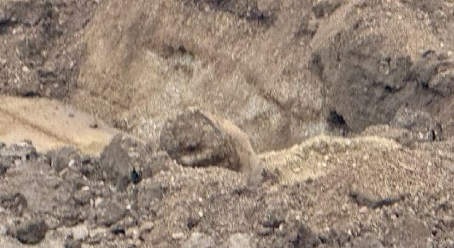 Immagine novità in apertura