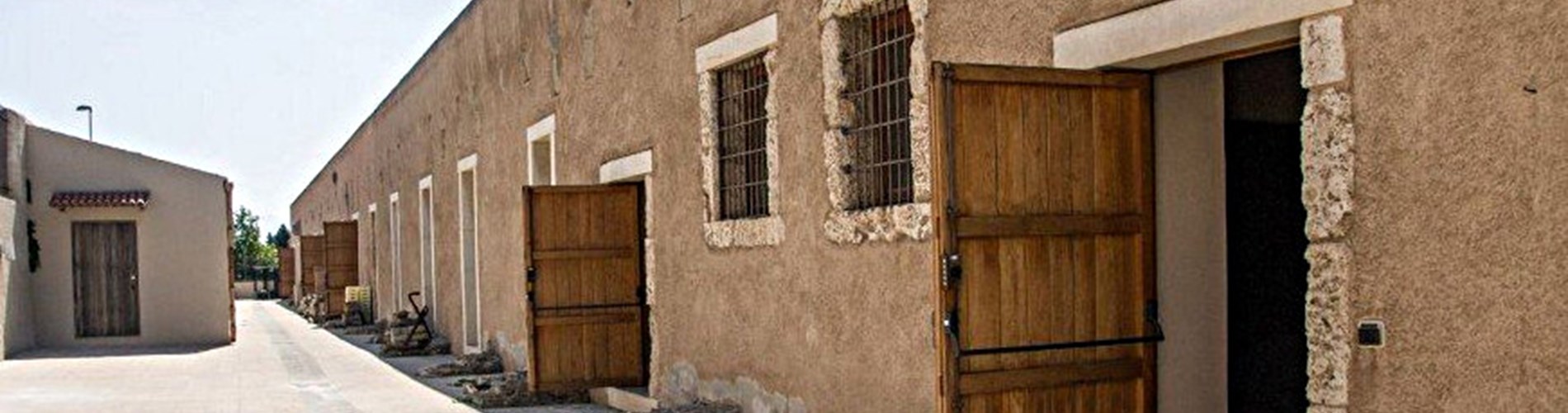 Antiquarium Domenico Ryolo Antiquarium Domenico Ryolo