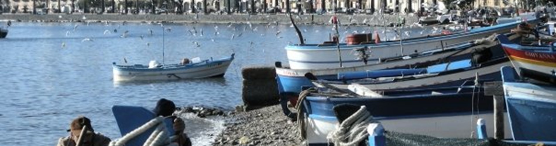Valorizzazione della pesca, a giugno a Vaccarella l’iniziativa “Saperi di mare. Tradizioni da scoprire” Valorizzazione della pesca, a giugno a Vaccarella l’iniziativa “Saperi di mare. Tradizioni da scoprire”