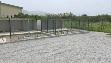 Aggiudicata all’associazione “Amici degli animali Barcellona – Milazzo” la gestione di una casa famiglia per cani e gattile